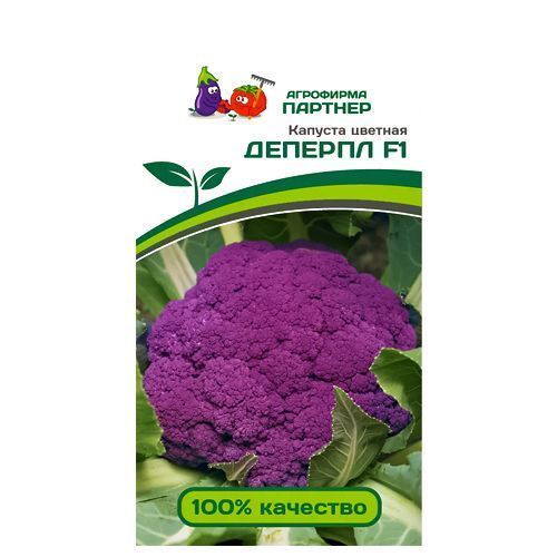 ������ ������ ������� ������� ������� F1 �������   ����