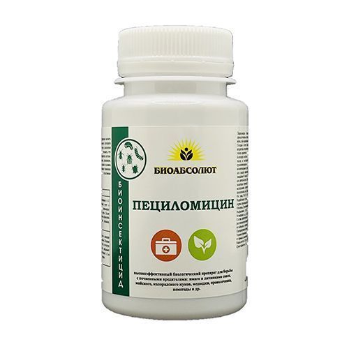 ������ ������ �����������, ��������� ���������� �� ��������� ���������� 100 �   ����