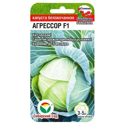 ������ ������ ������� ������������ �������� F1 ��������� ���   ����