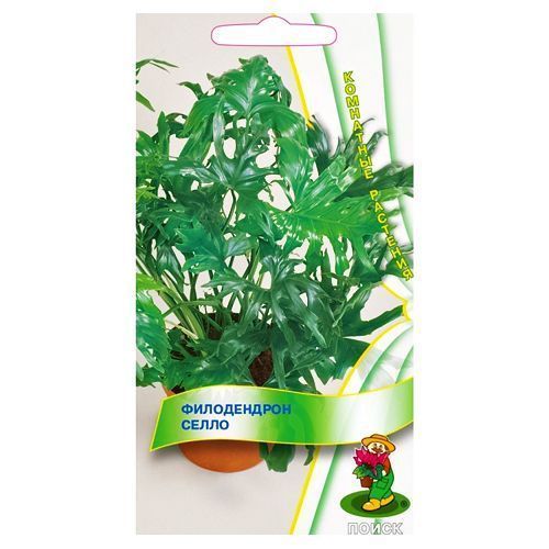 ������ ������ ����������� ����� �����   ����