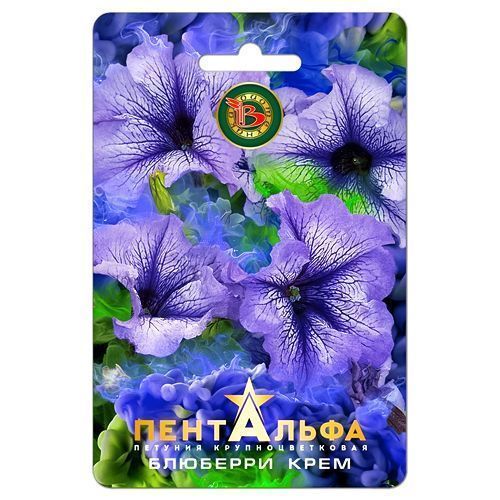 ������ ������ ������� ��������������� ��������� �������� ���� F1 ����������   ����