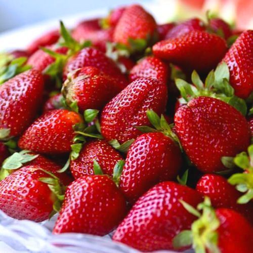 ������ ������ ��������� ������������ (�������������) ��� �������   ����