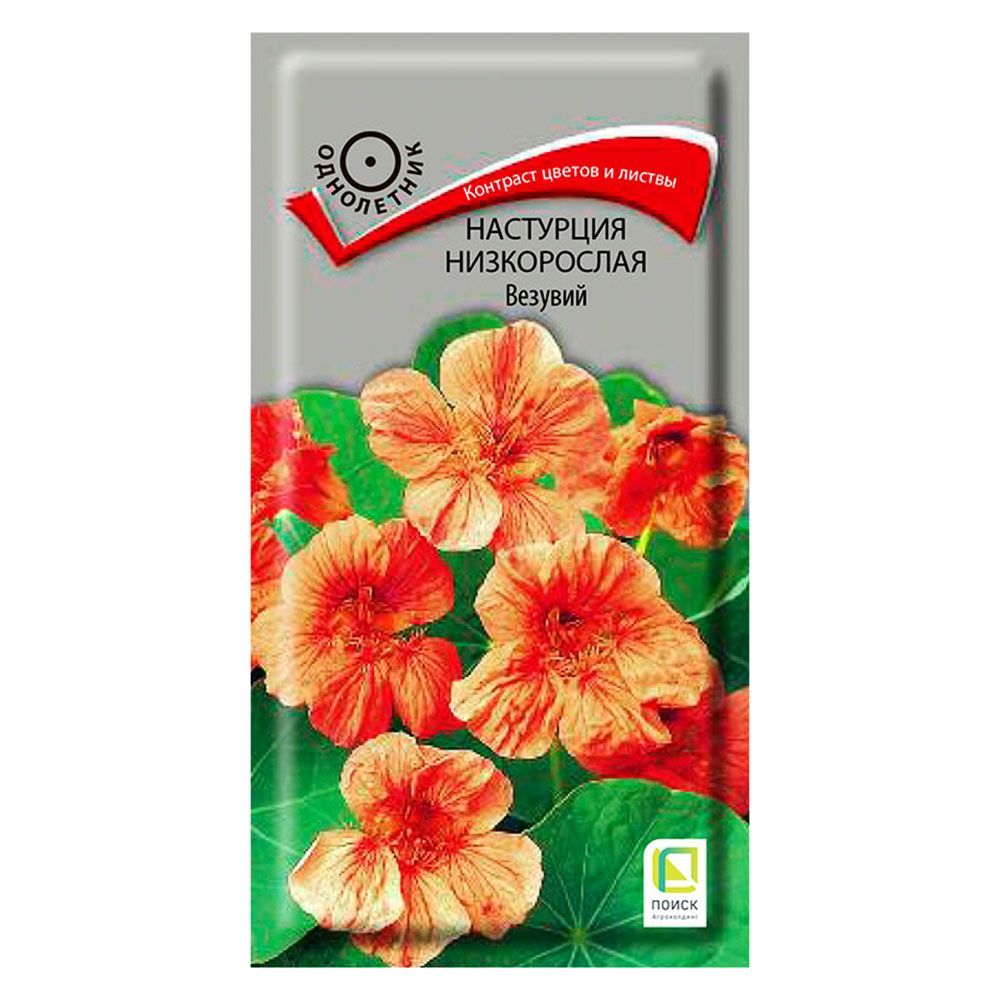 ������ ������ ��������� ����������� ������� �����   ����