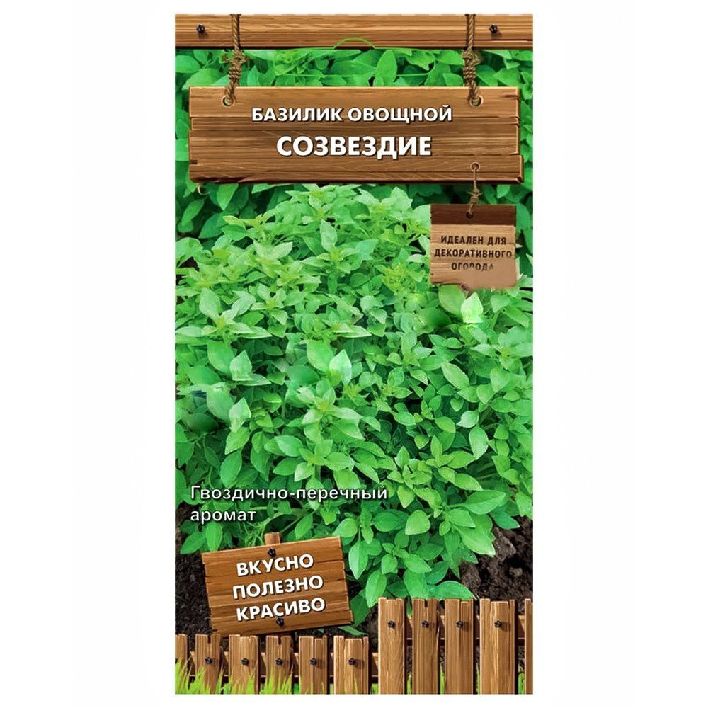 ������ ������ ������� ������� ��������� �����   ����