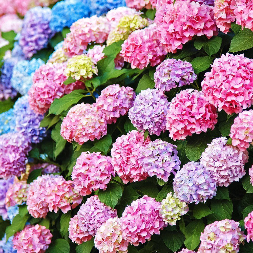 ������ ������ ��������� ������������� �������   ����