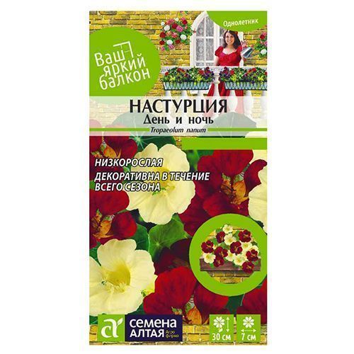 ������ ������ ��������� ���� � ����, ����� ������� ������ �����   ����