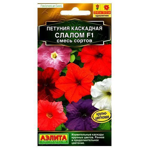 ������ ������ ������� ��������� ������ F1, ����� ������� ������   ����