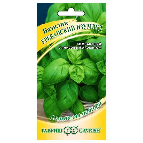 ������ ������ ������� ������� ���������� ������� ������   ����