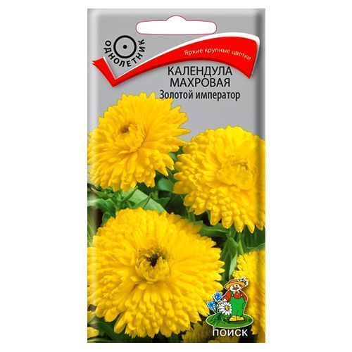 ������ ������ ��������� �������� ������� ��������� �����   ����