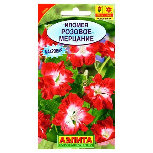 ������ ������ ������ �������� ������� �������� ������   ����