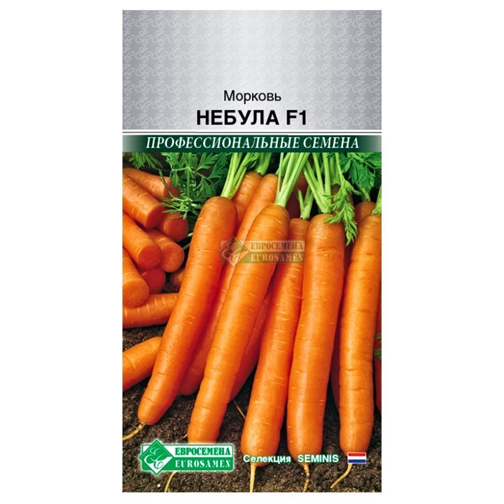 ������ ������ ������� ������ F1 ����������   ����