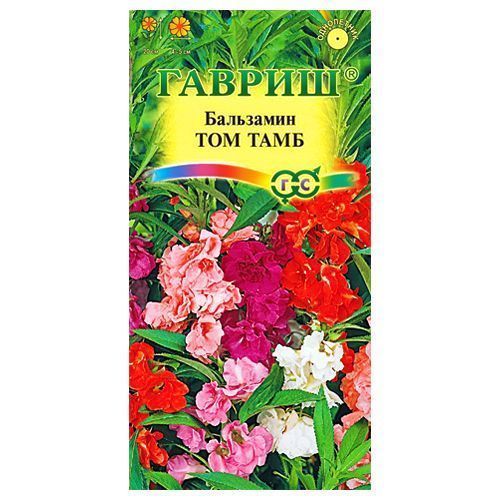 ������ ������ ��������� ��� ����, ����� ������� ������   ����