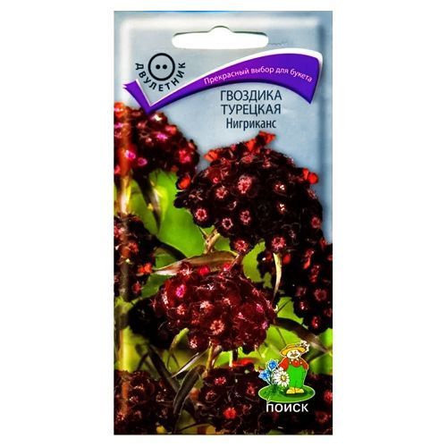 ������ ������ �������� �������� ��������� �����   ����