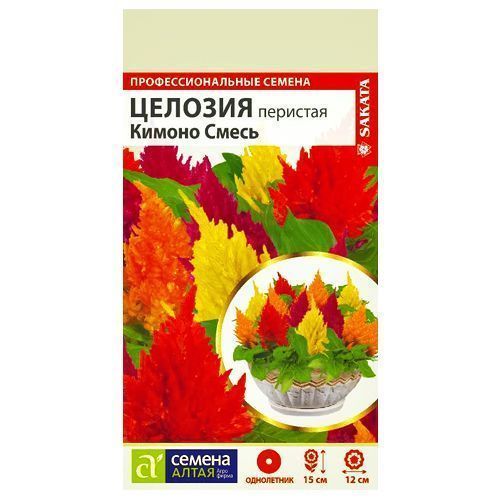 ������ ������ ������� �������� ������ F1, ����� ������� ������ �����   ����