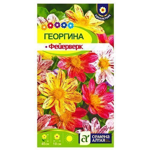 ������ ������ �������� ���������, ����� ������� ������ �����   ����