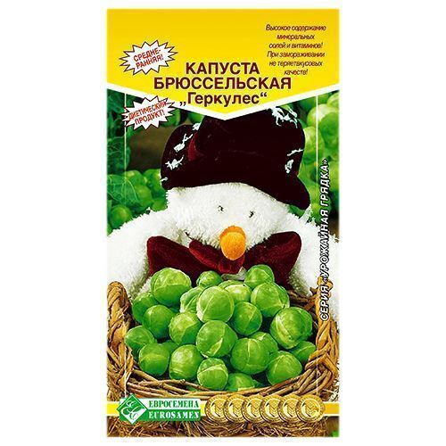 ������ ������ ������� ������������ �������� ����������   ����