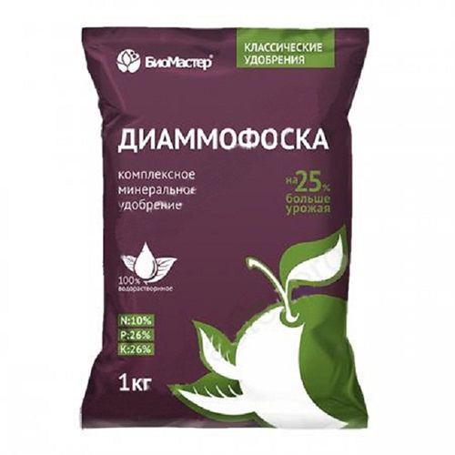 ������ ������ �����������, ����������� ����������� ��������� 1 ��   ����