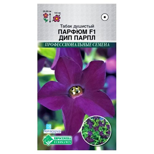 ������ ������ ����� �������� ������ ��� ����� ����������   ����