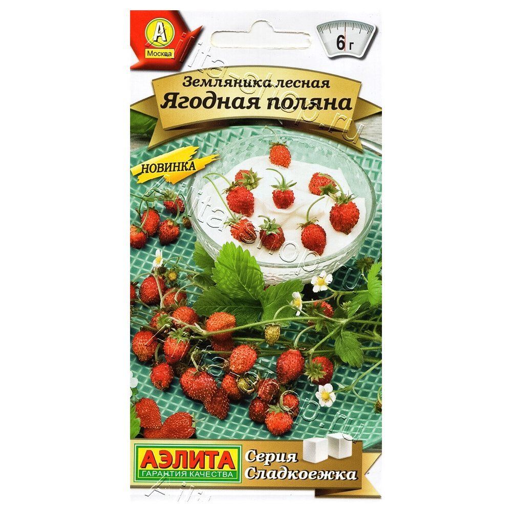 ������ ������ ��������� ������ ������� ������ ������   ����