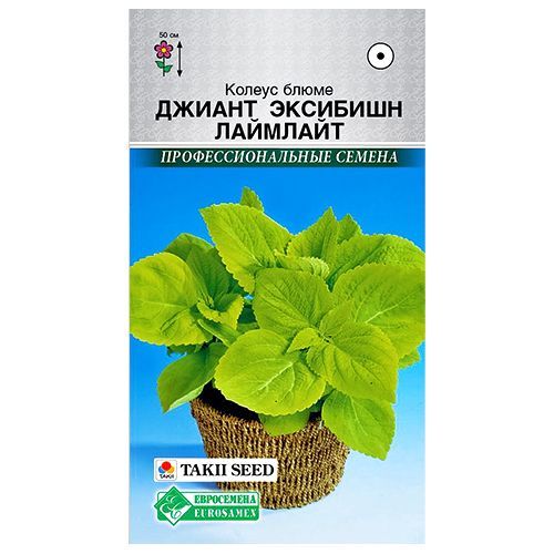 ������ ������ ������ ����� ������ �������� �������� ����������   ����