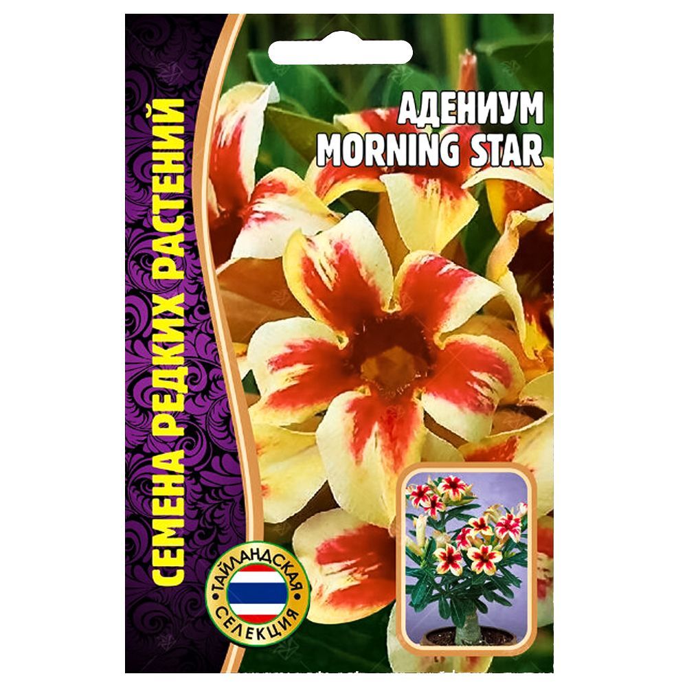 ������ ������ ������� Morning Star ������ ������   ����