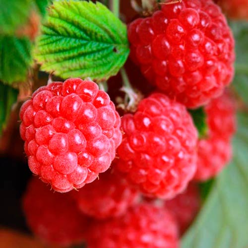 ������ ������ ������ ������������� ������� ��������   ����