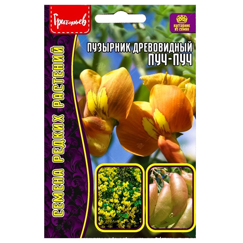 ������ ������ �������� ����������� ���-��� ������ ������   ����