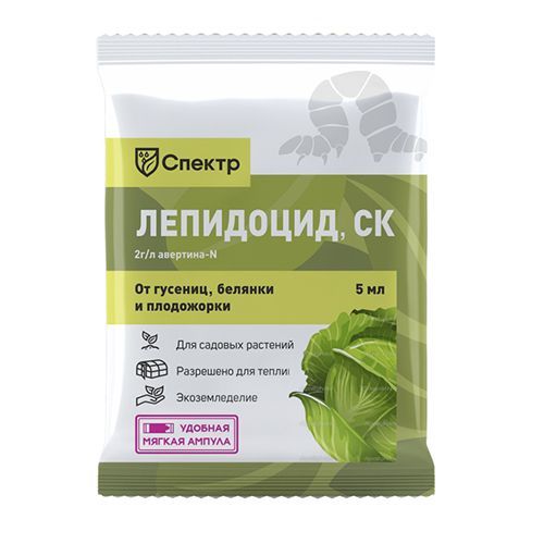 ������ ������ ������ - ���������, �� ��������� ���������� 5 ��   ����