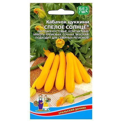 ������ ������ ������� ������ ������ ������ ��������� ������   ����