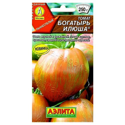 ������ ������ ����� �������� ����� ������   ����