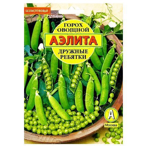 ������ ������ ����� ������� ������� ������   ����