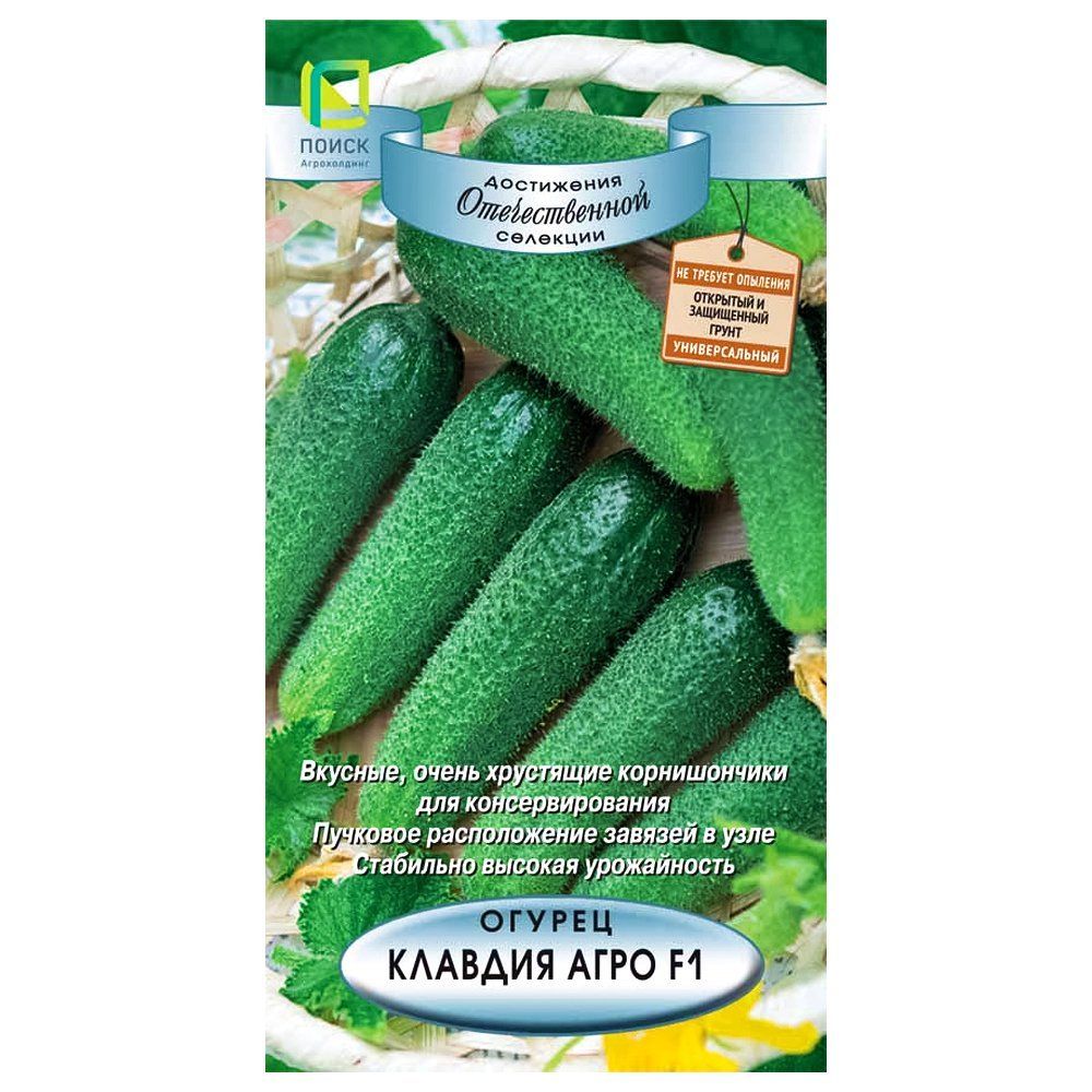 ������ ������ ������ ������� ���� F1 �����   ����