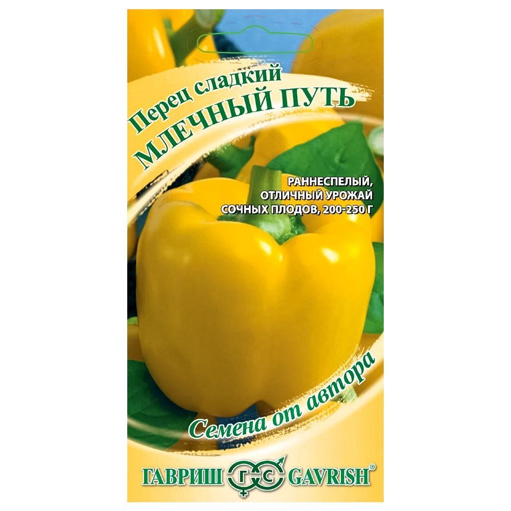 ������ ������ ����� ������� ������� ���� ������   ����