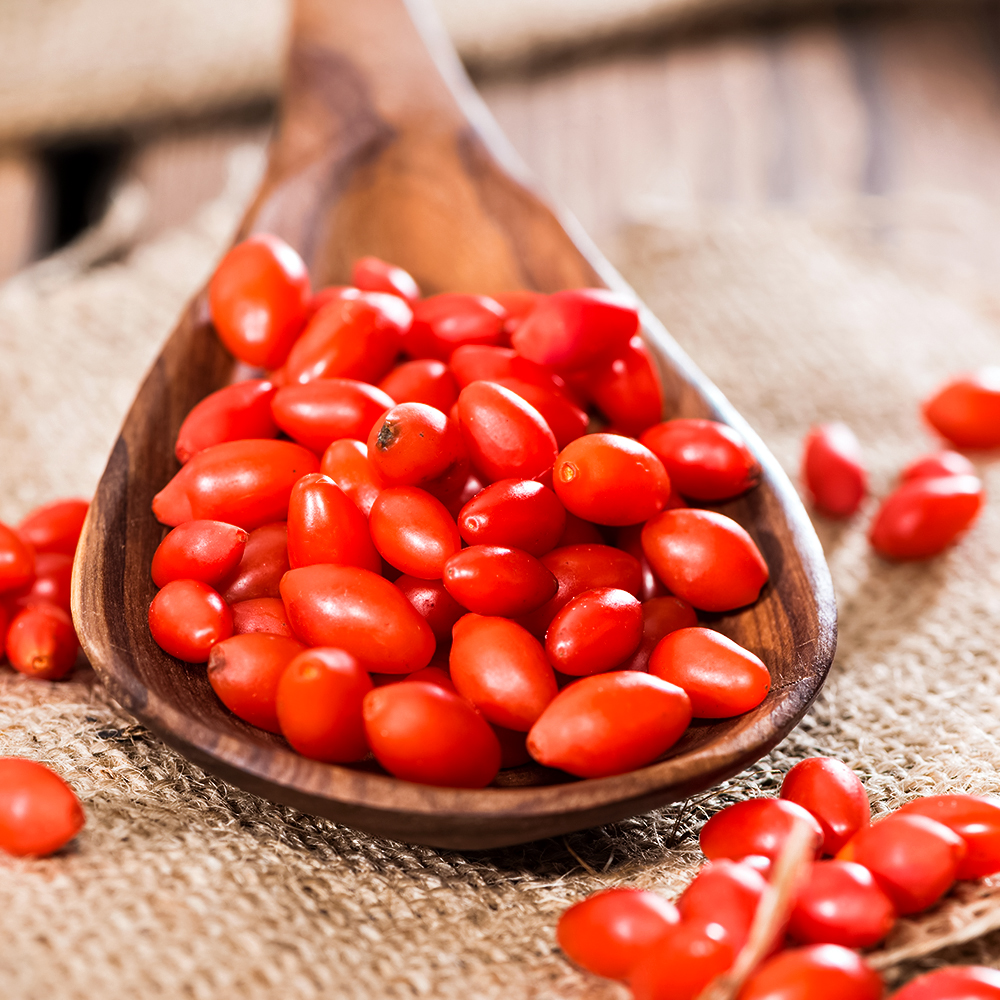 ������ ������ ����� �������� ��� �����   ����