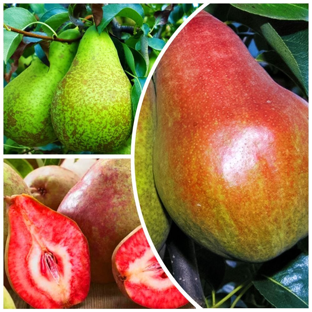 ������ ������ �����������! �������� ���� 