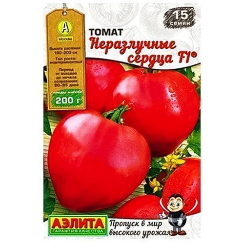 ������ ������ ����� ����������� ������ F1 ������   ����