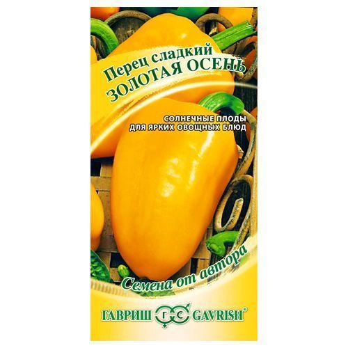 ������ ������ ����� ������� ������� ����� ������   ����