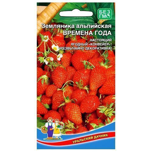 ������ ������ ��������� ���������� ������� ���� ��������� ������   ����