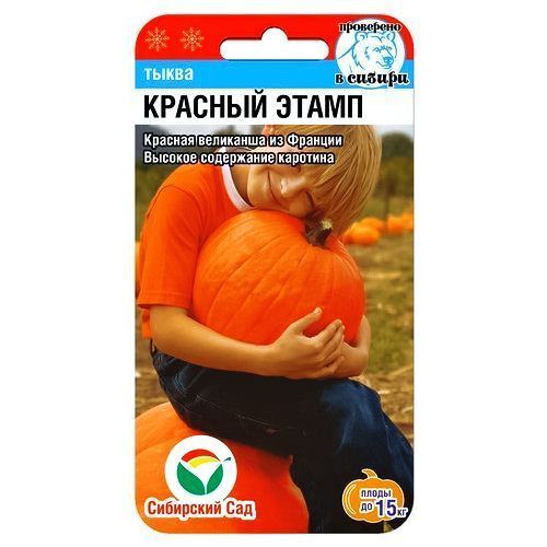 ������ ������ ����� ������� ����� ��������� ���   ����