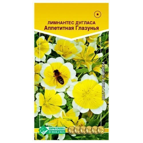 ������ ������ ��������� ������� ���������� �������� ����������   ����