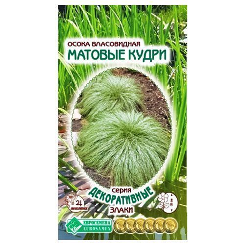 ������ ������ ����� ����������� ������� ����� ����������   ����