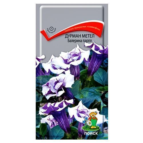 ������ ������ ������ ����� �������� ����� �����   ����