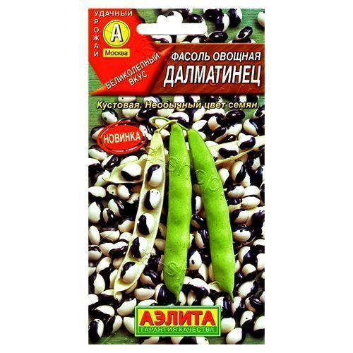 ������ ������ ������ ������� ���������� ������   ����