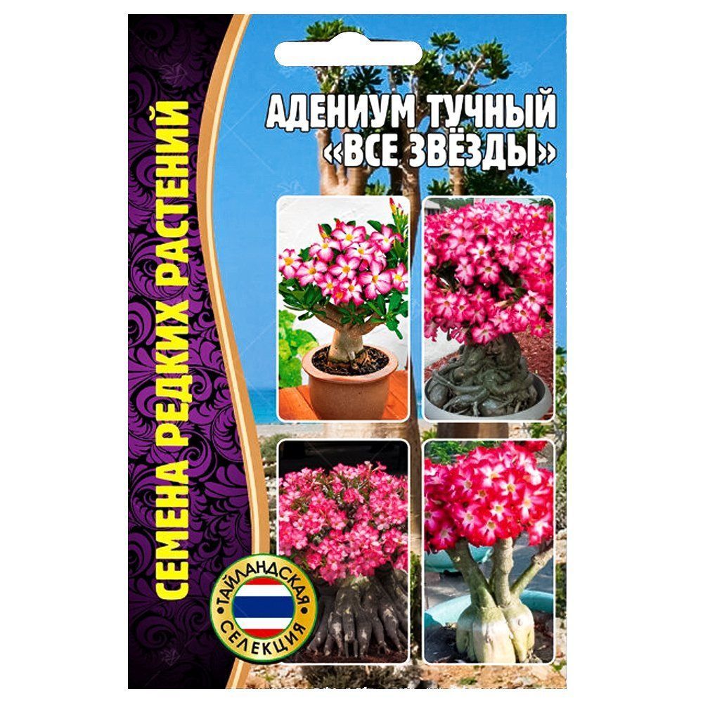 ������ ������ ������� ��� ������ ������ ������   ����