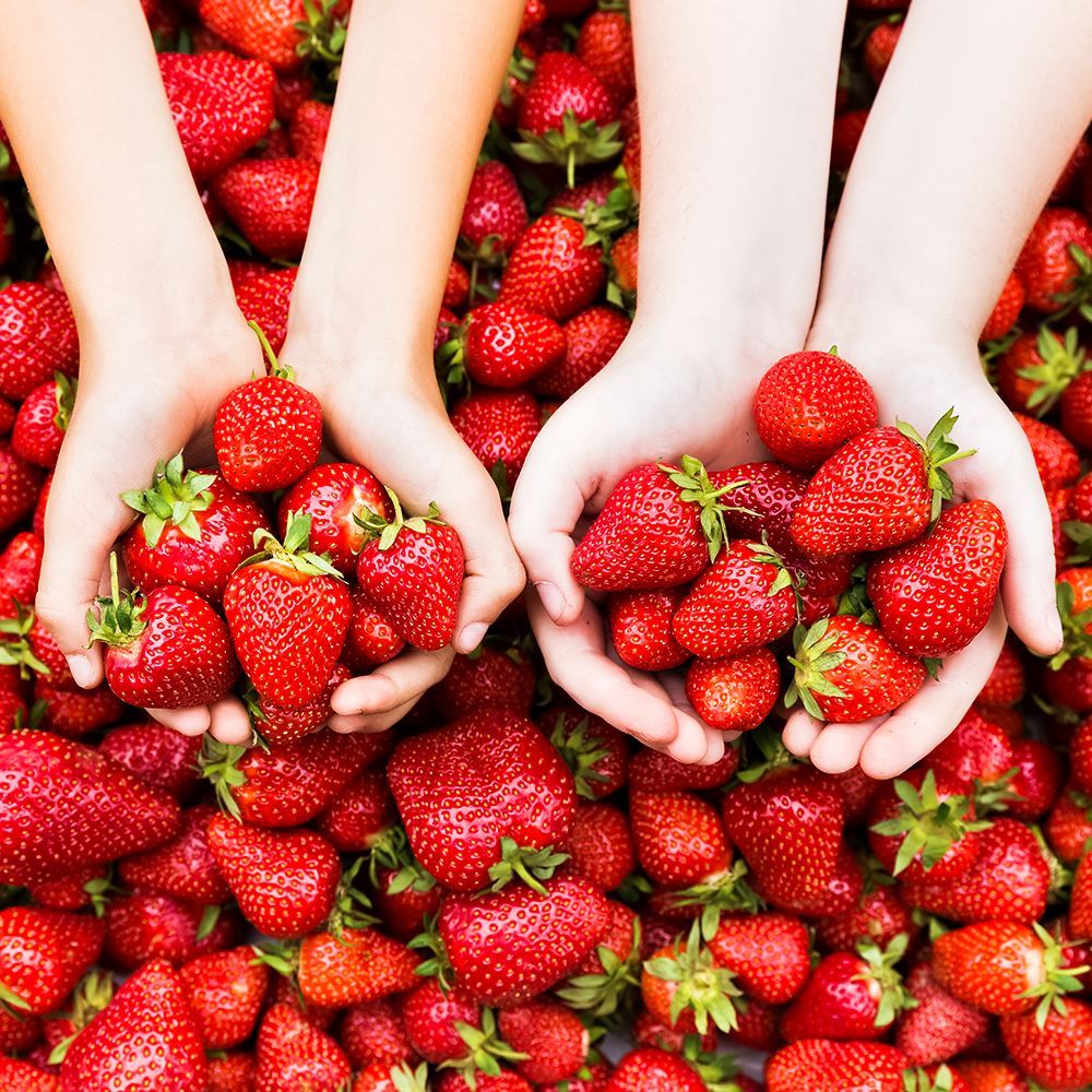 ������ ������ ��������� ������������� ������������ ����������   ����