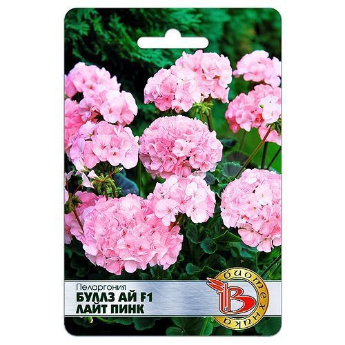 ������ ������ ���������� (������) ����� �� F1 ���� ���� ����������   ����