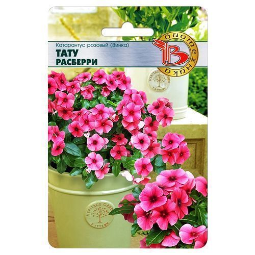 ������ ������ ���������� ������� ���� �������� ����������   ����