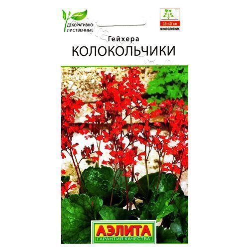 ������ ������ ������� ������������ ������   ����