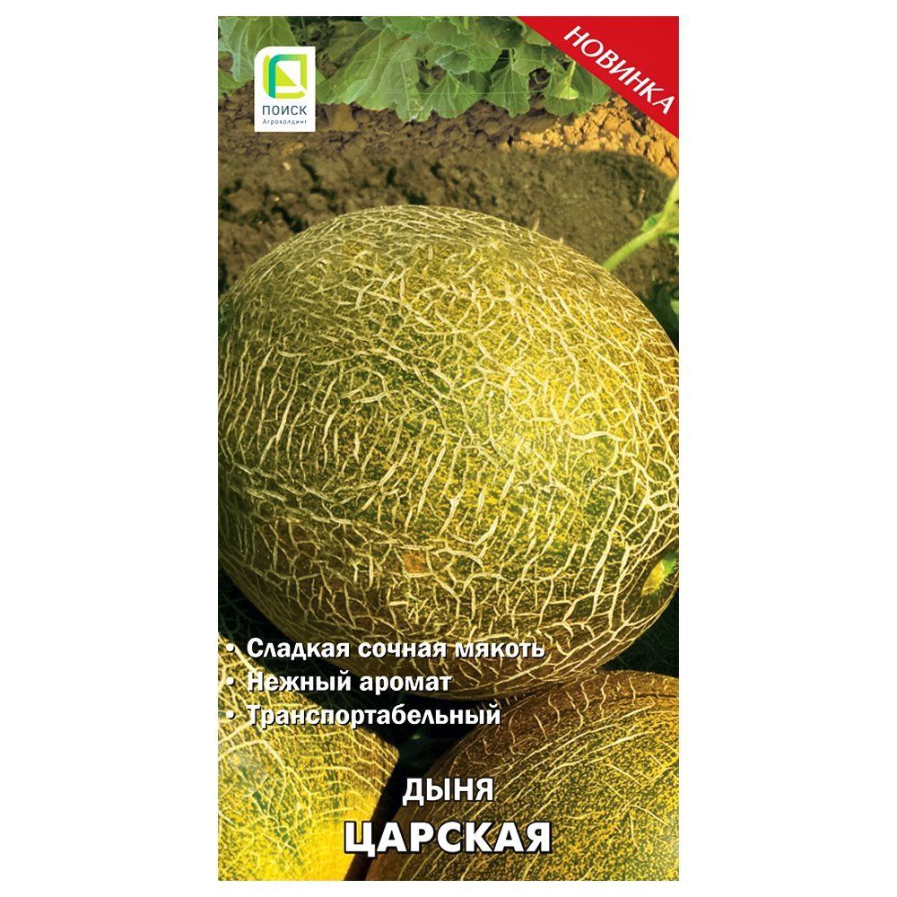 ������ ������ ���� ������� �����   ����