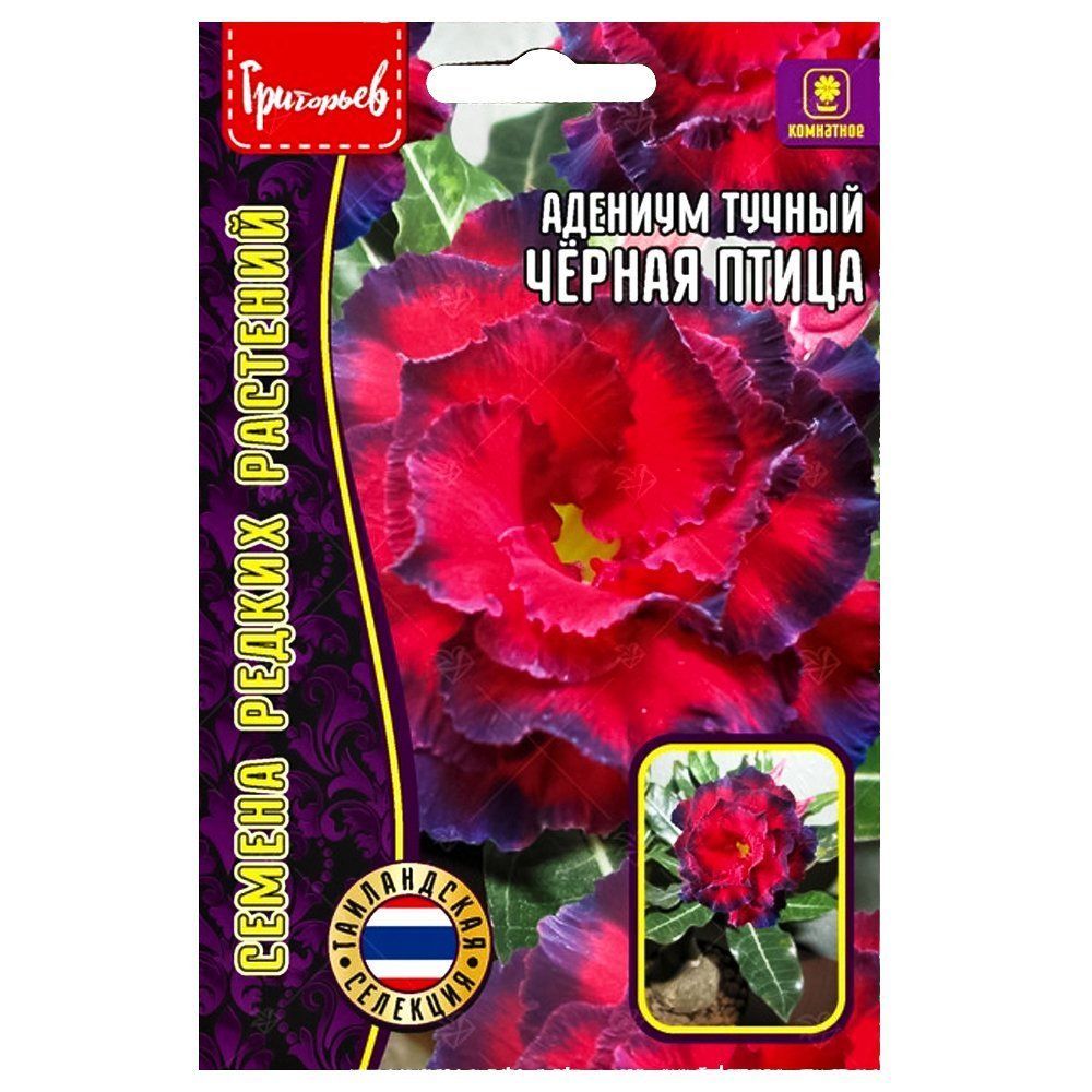 ������ ������ ������� ������ ����� ������ ������   ����